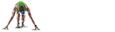 sysTEMATIC Newsletter abonnieren